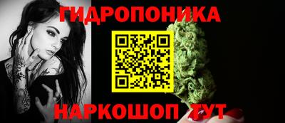 гашик Канаш