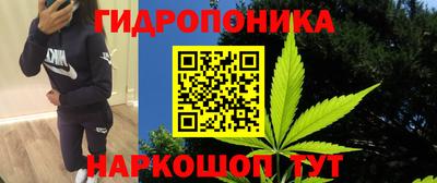 гашик Канаш