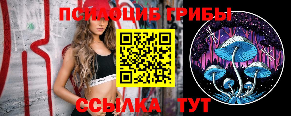 Галлюциногенные грибы прущие грибы  Вход с VPN  Псилоцибиновые грибы GOLDEN TEACHER  купить наркотики сайты  Котовск 