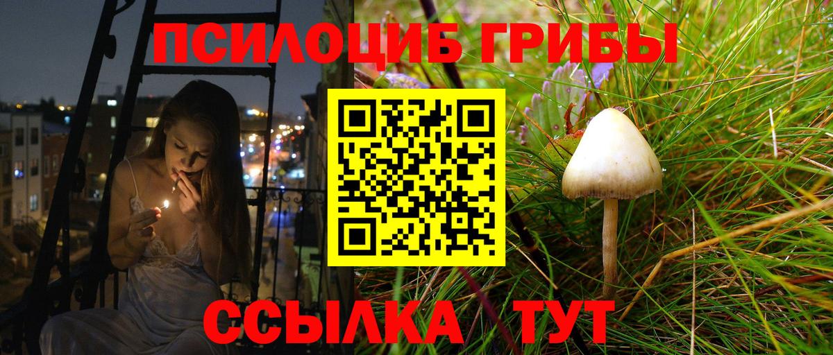  COCAIN Котовск