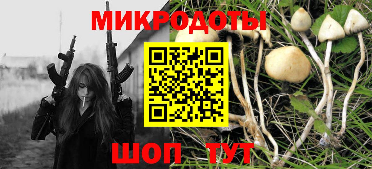 Галлюциногенные грибы Cubensis Котовск